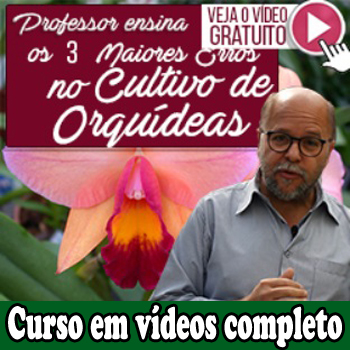 Curso em videos como cuidar de orquideas