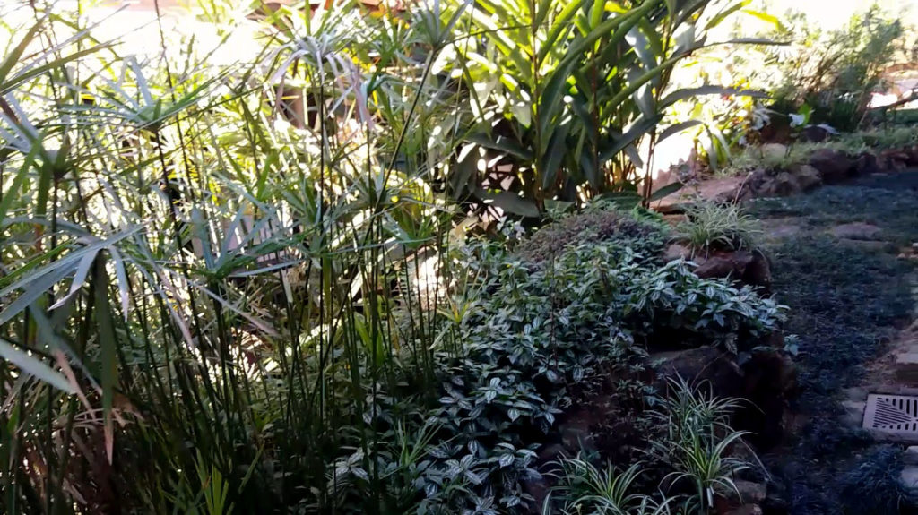 saber fazer um mini lago artificial passa pela jardinagem