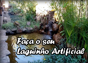 o que é ancinho no laguinho