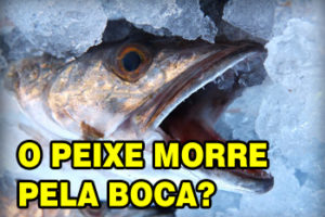 o peixe morre pela boca