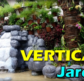 jardim vertical